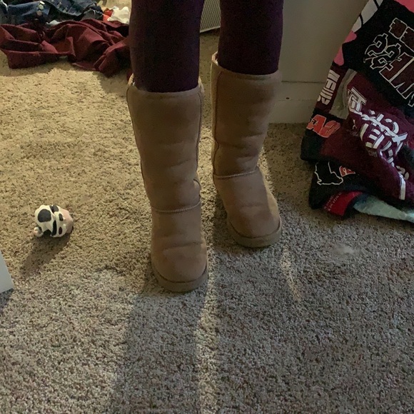 Chestnut Classic Tall Ugg’s - Picture 7 of 10